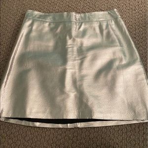 Zara Metallic Skirt